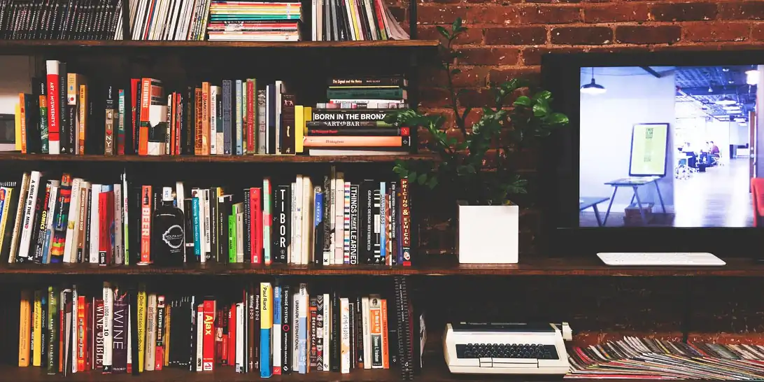 Bookcase and Television